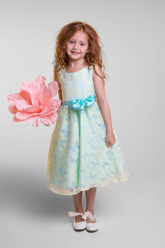 Dress - Butterfly Burnout Organza Girl Dress