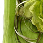 Organza Sash (Single)
