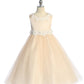 458-A Luxurious Princess Ballgown Dress with Floral Trim and Plus Sizes
