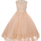 Dress - Lace AppliquÃ© Illusion Bateau Dress