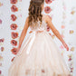 Dress - Lace AppliquÃ© Illusion Bateau Dress