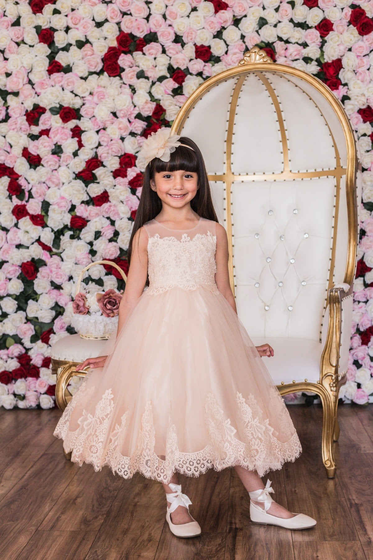 Dress - Lace AppliquÃ© Illusion Bateau Dress
